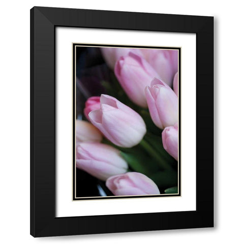 Soft Pink Tulips I Black Modern Wood Framed Art Print with Double Matting by Berzel, Erin