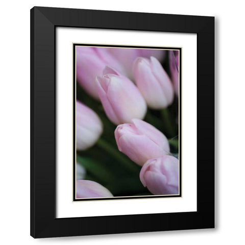 Soft Pink Tulips II Black Modern Wood Framed Art Print with Double Matting by Berzel, Erin