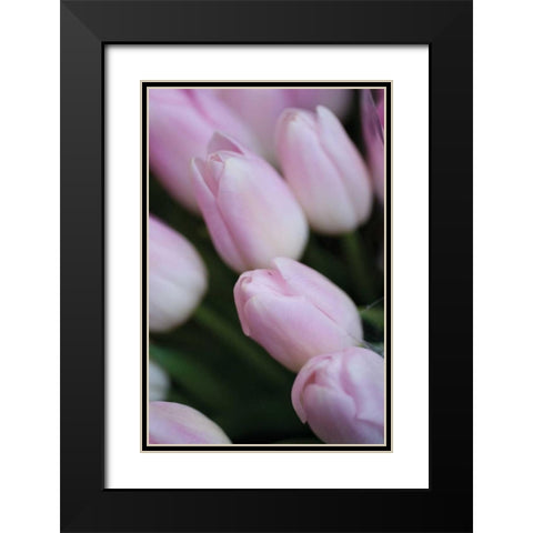 Soft Pink Tulips II Black Modern Wood Framed Art Print with Double Matting by Berzel, Erin