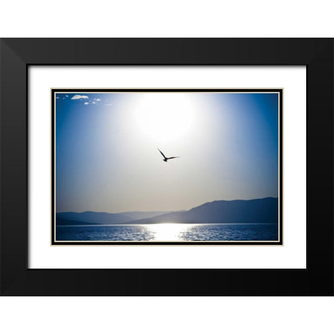 Take Flight Black Modern Wood Framed Art Print with Double Matting by Berzel, Erin