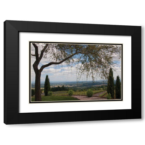 Vineyard Vista Black Modern Wood Framed Art Print with Double Matting by Berzel, Erin