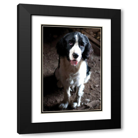 Jake The Dog Black Modern Wood Framed Art Print with Double Matting by Berzel, Erin
