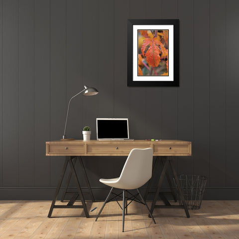 Orange Leaves I Black Modern Wood Framed Art Print with Double Matting by Berzel, Erin