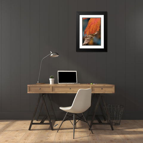 Orange Leaves II Black Modern Wood Framed Art Print with Double Matting by Berzel, Erin