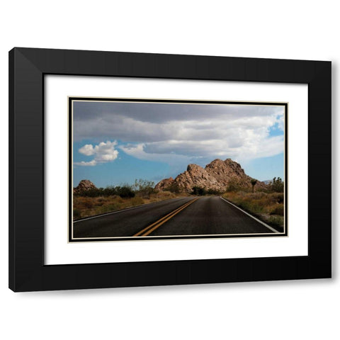 Joshua Tree National Park I Black Modern Wood Framed Art Print with Double Matting by Berzel, Erin