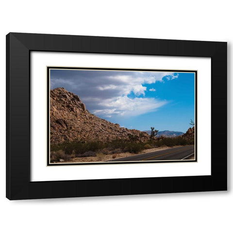 Joshua Tree National Park II Black Modern Wood Framed Art Print with Double Matting by Berzel, Erin
