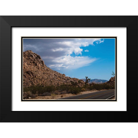 Joshua Tree National Park II Black Modern Wood Framed Art Print with Double Matting by Berzel, Erin