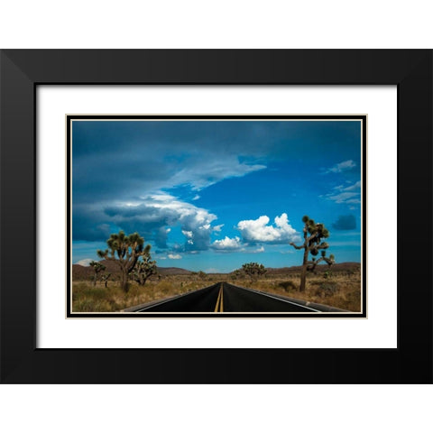 Joshua Tree National Park III Black Modern Wood Framed Art Print with Double Matting by Berzel, Erin