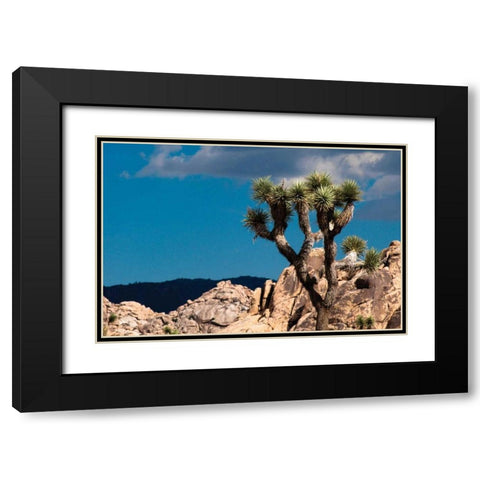 After the Storm II Black Modern Wood Framed Art Print with Double Matting by Berzel, Erin