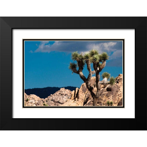 After the Storm II Black Modern Wood Framed Art Print with Double Matting by Berzel, Erin