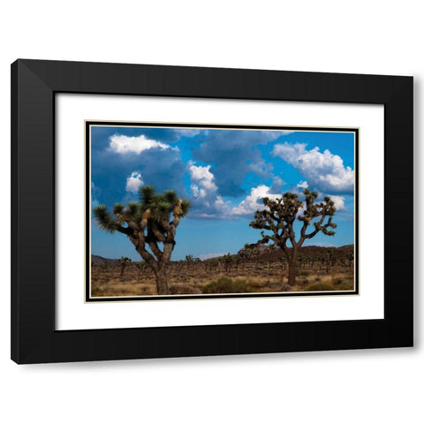 Blue Sky I Black Modern Wood Framed Art Print with Double Matting by Berzel, Erin