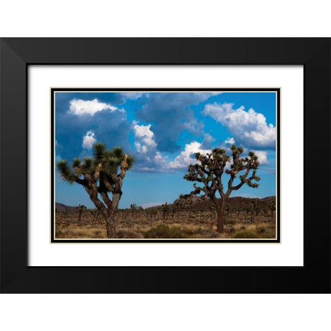 Blue Sky I Black Modern Wood Framed Art Print with Double Matting by Berzel, Erin