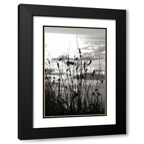 Coastal Grass I Black Modern Wood Framed Art Print with Double Matting by Berzel, Erin
