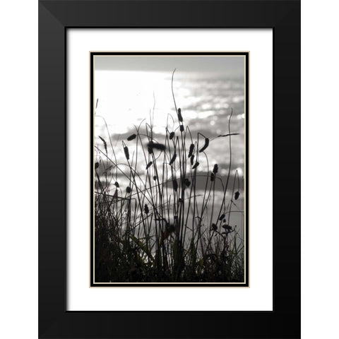 Coastal Grass I Black Modern Wood Framed Art Print with Double Matting by Berzel, Erin