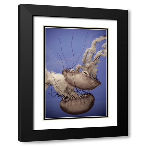 In the Water I Black Modern Wood Framed Art Print with Double Matting by Berzel, Erin