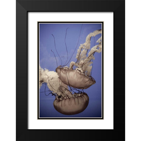 In the Water I Black Modern Wood Framed Art Print with Double Matting by Berzel, Erin