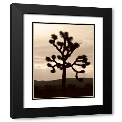Yucca Brevifolia IV Black Modern Wood Framed Art Print with Double Matting by Berzel, Erin