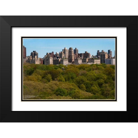 Central Park II Black Modern Wood Framed Art Print with Double Matting by Berzel, Erin