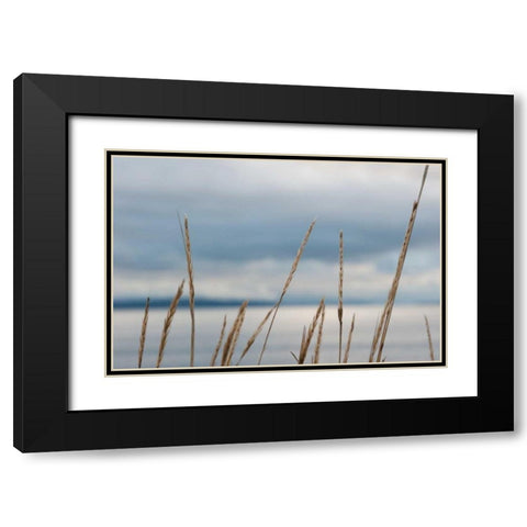 Whidbey Grass I Black Modern Wood Framed Art Print with Double Matting by Berzel, Erin