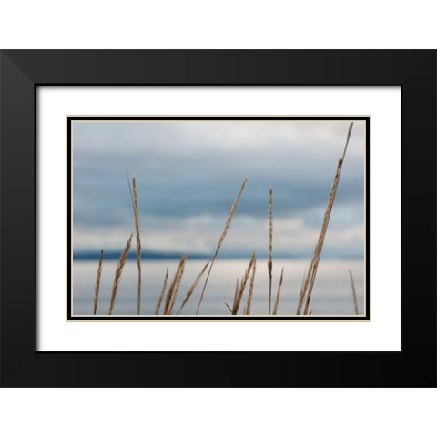Whidbey Grass I Black Modern Wood Framed Art Print with Double Matting by Berzel, Erin