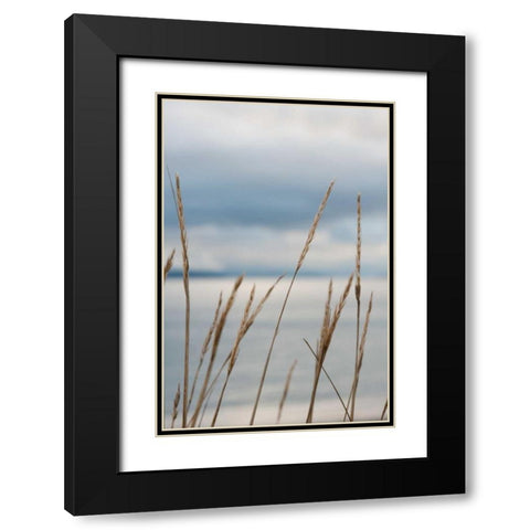 Whidbey Grass III Black Modern Wood Framed Art Print with Double Matting by Berzel, Erin