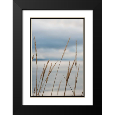 Whidbey Grass III Black Modern Wood Framed Art Print with Double Matting by Berzel, Erin