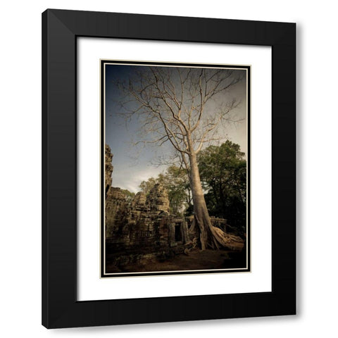Silk Cotton Tree Black Modern Wood Framed Art Print with Double Matting by Berzel, Erin