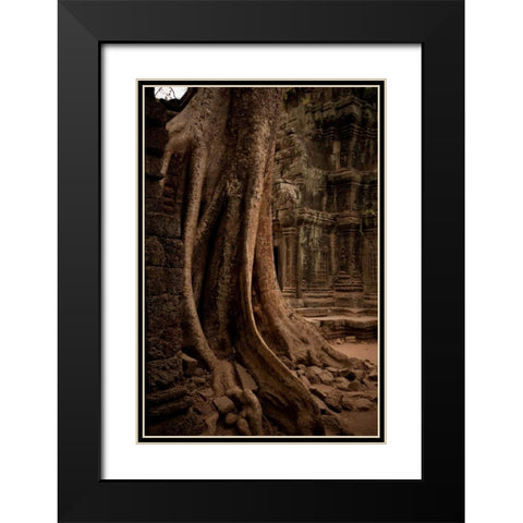 Roots and Ruins I Black Modern Wood Framed Art Print with Double Matting by Berzel, Erin