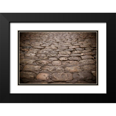 Stone Path I Black Modern Wood Framed Art Print with Double Matting by Berzel, Erin