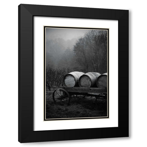 BW Oregon Wine Country II Black Modern Wood Framed Art Print with Double Matting by Berzel, Erin