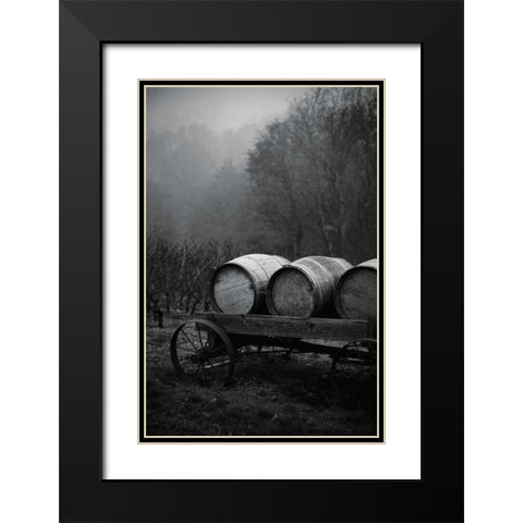 BW Oregon Wine Country II Black Modern Wood Framed Art Print with Double Matting by Berzel, Erin