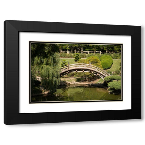 Moon Bridge I Black Modern Wood Framed Art Print with Double Matting by Berzel, Erin