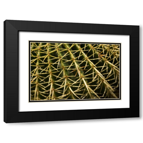Cactus Detail II Black Modern Wood Framed Art Print with Double Matting by Berzel, Erin