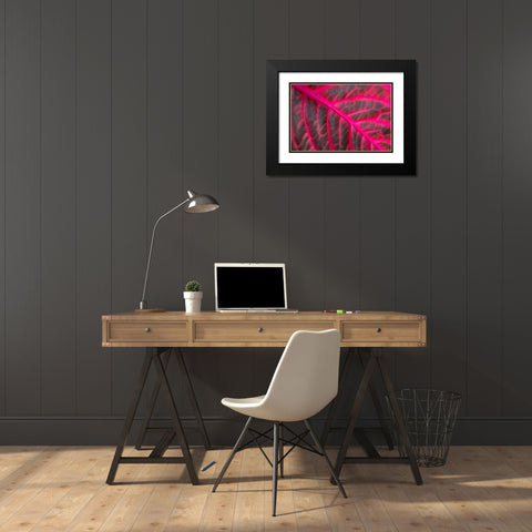 Pink Leaf II Black Modern Wood Framed Art Print with Double Matting by Berzel, Erin