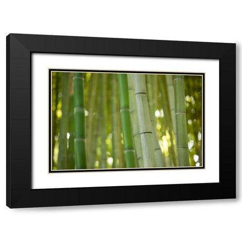Bamboo and Bokeh II Black Modern Wood Framed Art Print with Double Matting by Berzel, Erin
