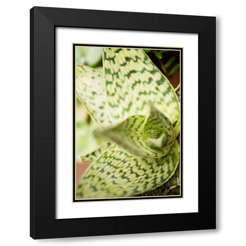 Green and White I Black Modern Wood Framed Art Print with Double Matting by Berzel, Erin