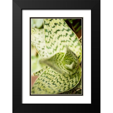 Green and White I Black Modern Wood Framed Art Print with Double Matting by Berzel, Erin
