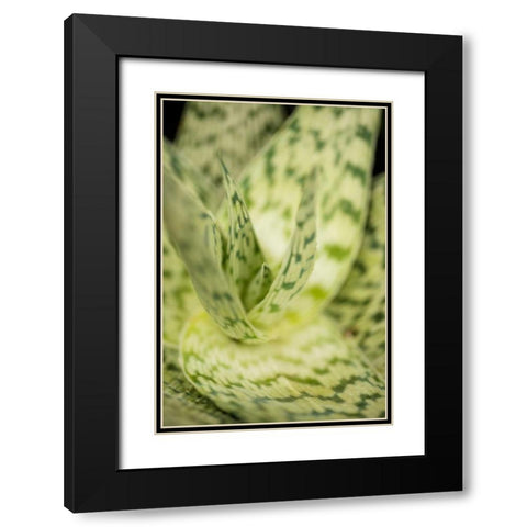 Green and White II Black Modern Wood Framed Art Print with Double Matting by Berzel, Erin