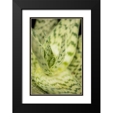 Green and White II Black Modern Wood Framed Art Print with Double Matting by Berzel, Erin