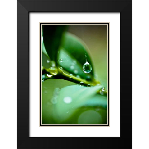 Suspended Dew I Black Modern Wood Framed Art Print with Double Matting by Berzel, Erin