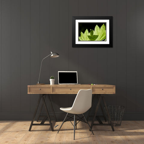 Illuminated Leaves Black Modern Wood Framed Art Print with Double Matting by Berzel, Erin