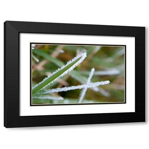 Morning Frost II Black Modern Wood Framed Art Print with Double Matting by Berzel, Erin