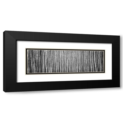 Pacific Albus BW II Black Modern Wood Framed Art Print with Double Matting by Berzel, Erin