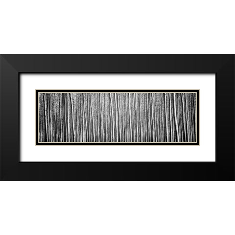Pacific Albus BW II Black Modern Wood Framed Art Print with Double Matting by Berzel, Erin