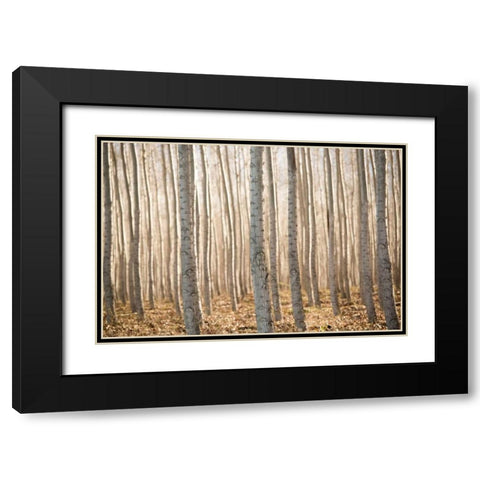 Pacific Albus II Black Modern Wood Framed Art Print with Double Matting by Berzel, Erin