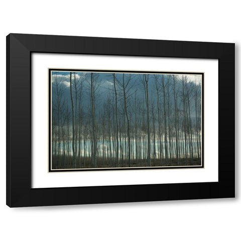Pacific Albus and Clouds I Black Modern Wood Framed Art Print with Double Matting by Berzel, Erin