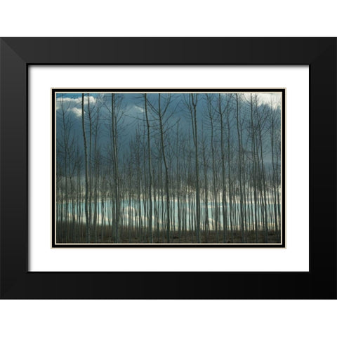 Pacific Albus and Clouds I Black Modern Wood Framed Art Print with Double Matting by Berzel, Erin