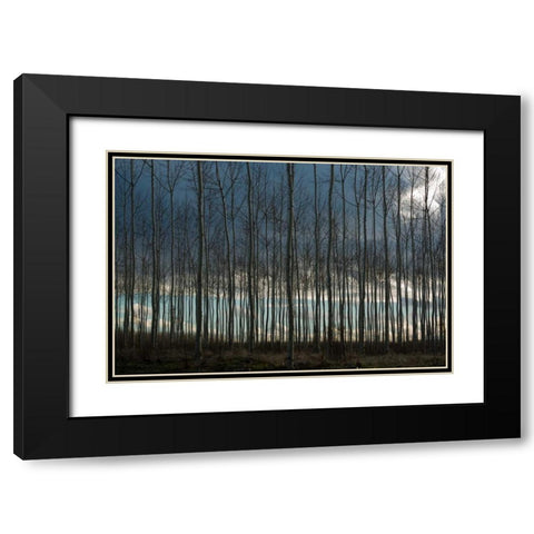 Pacific Albus and Clouds II Black Modern Wood Framed Art Print with Double Matting by Berzel, Erin