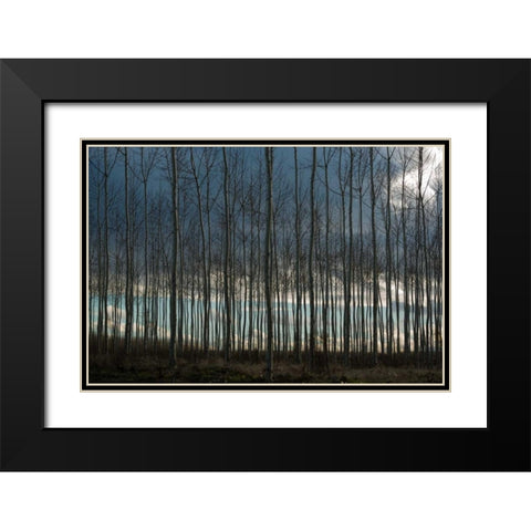 Pacific Albus and Clouds II Black Modern Wood Framed Art Print with Double Matting by Berzel, Erin