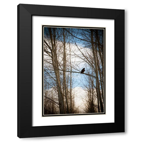 Hawk Silhouette Black Modern Wood Framed Art Print with Double Matting by Berzel, Erin